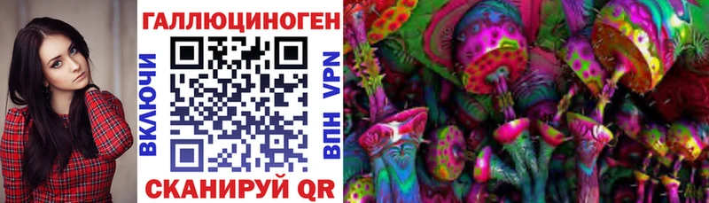 где продают наркотики  Разумное  Псилоцибиновые грибы прущие грибы 